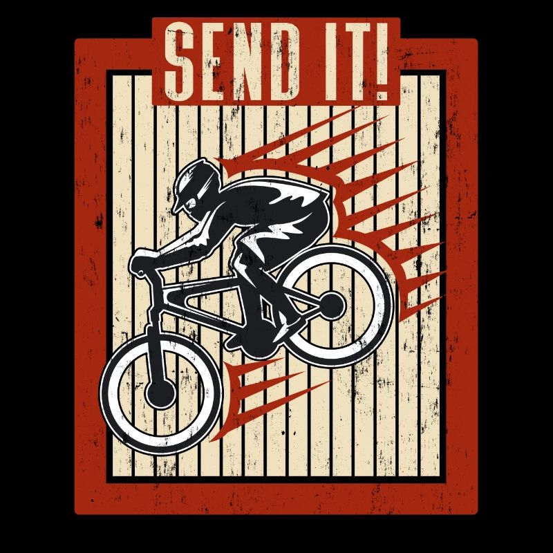 VTT Send it Bike