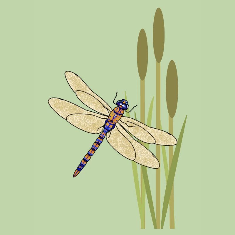 Libelle