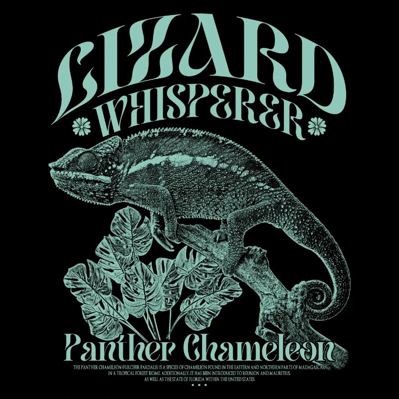 Panther Chameleon Chameleon Lizard Whisperer