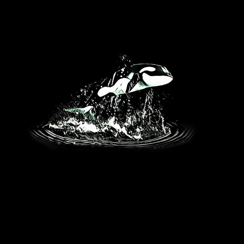 Killer whale