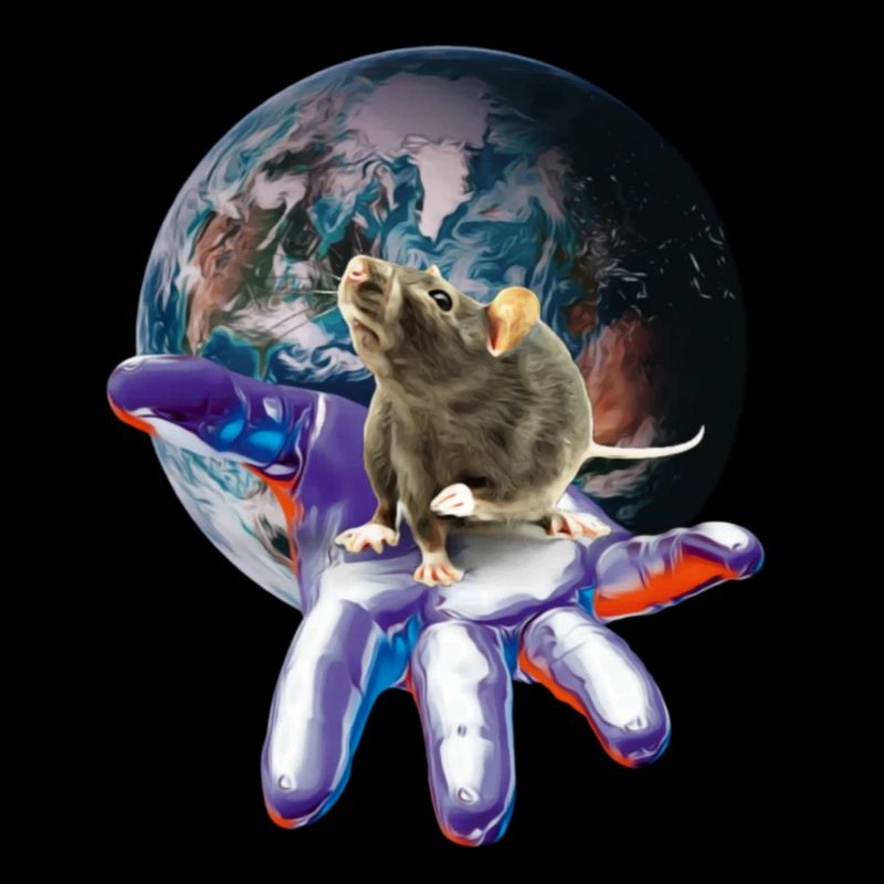 rat