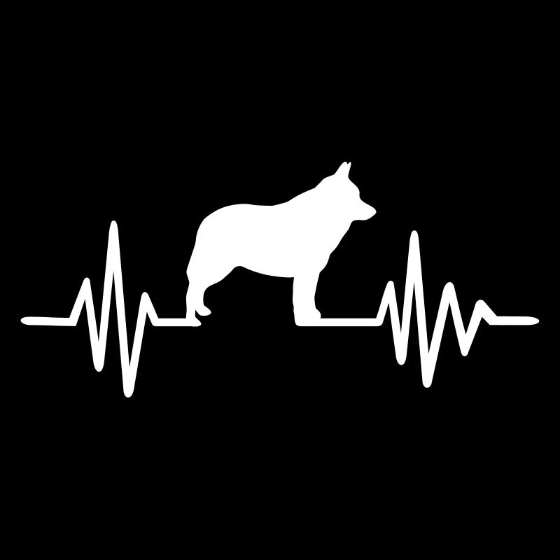 Schipperke