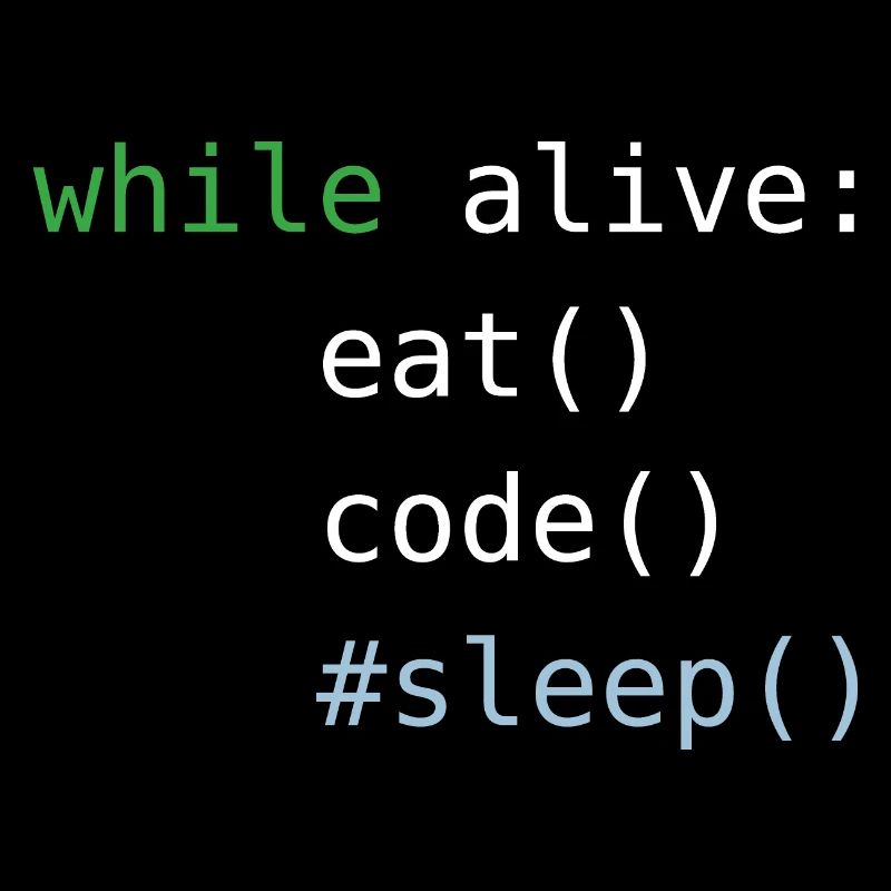 Python code | eat sleep code repeat |Programmieren