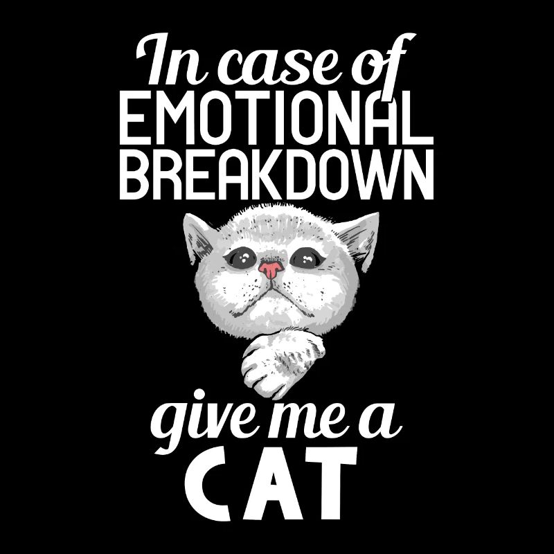 Gift Cat Owner Cat Gift