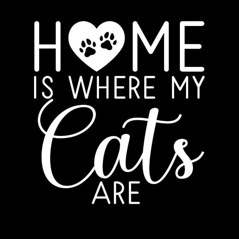 Gift Cat Owner Cat Gift