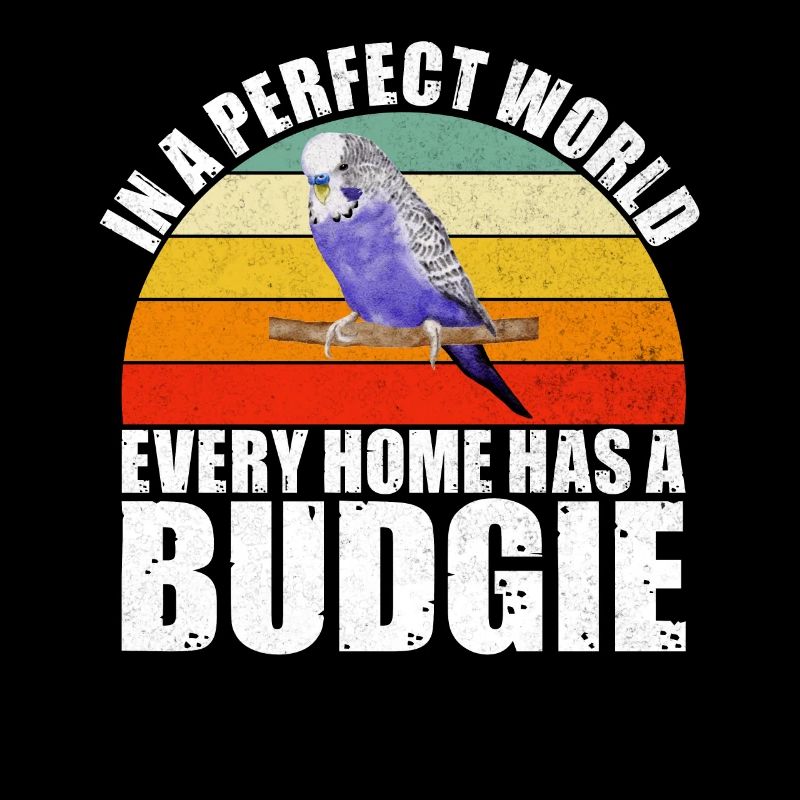Budgie Gift