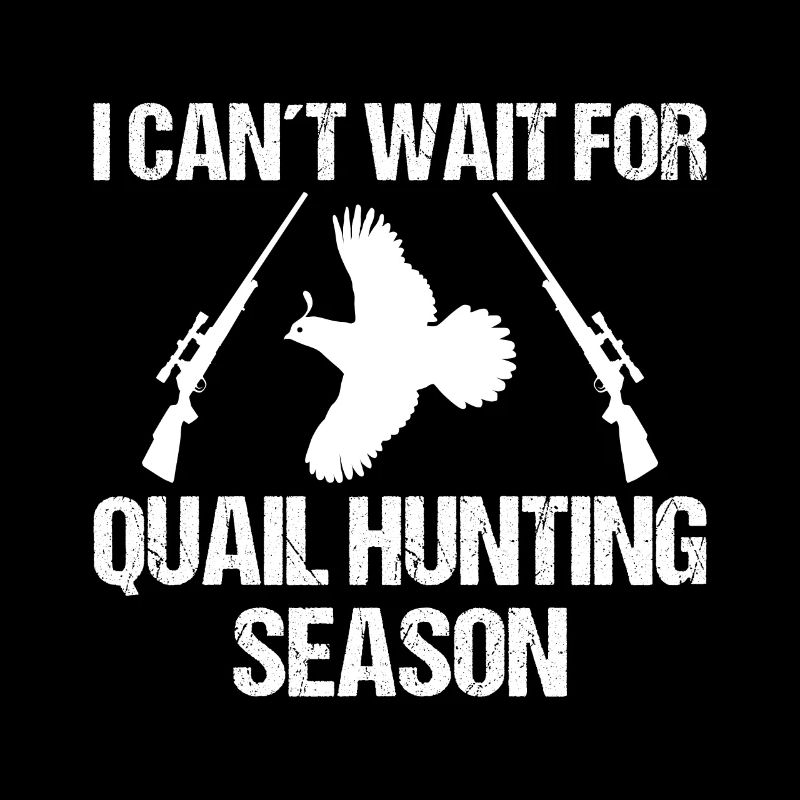 Conception « anticipation de la saison de chasse à la caille »
