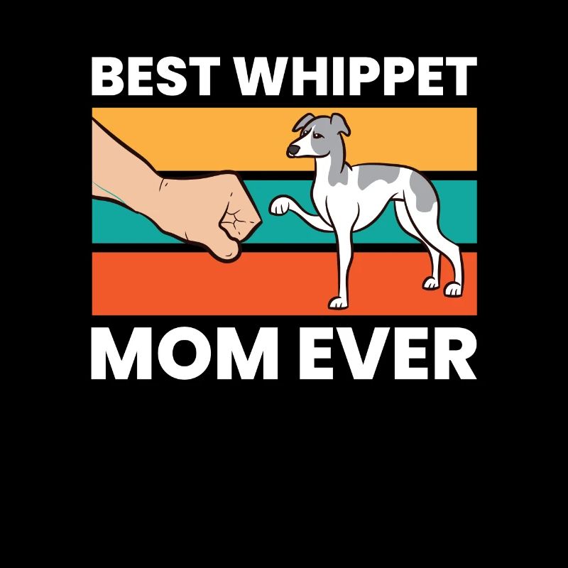 Mignon Whippet Meilleur Whippet-mère jamais