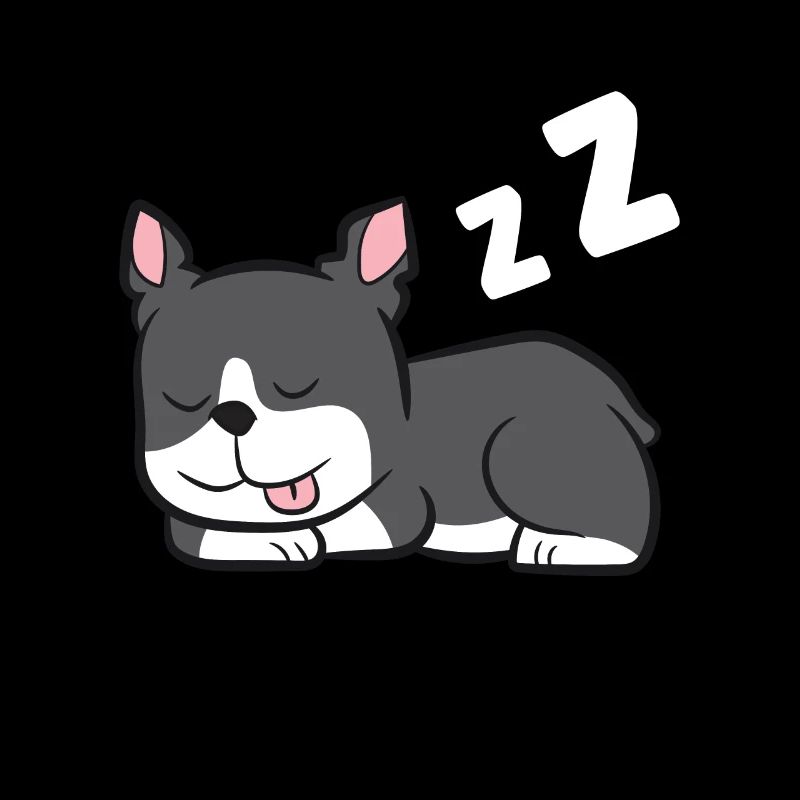 Boston Terrier Lazy Cute Sleeping Boston Terrier
