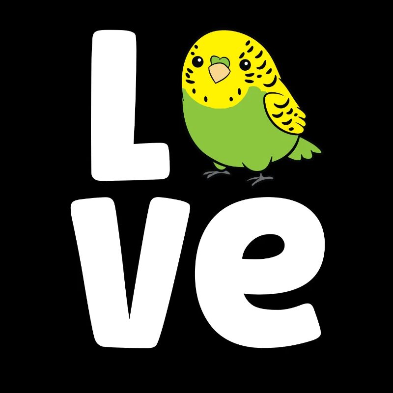 Budgerigar Oiseau Amour Budgerigar
