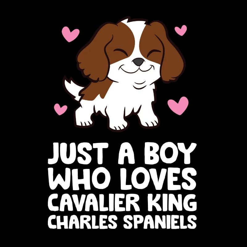 Nur ein Junge, der Cavalier King Charles Spaniels