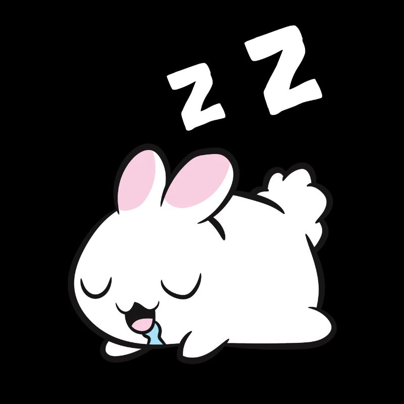 Sleeping Rabbit Sleeping Pajama Rabbit