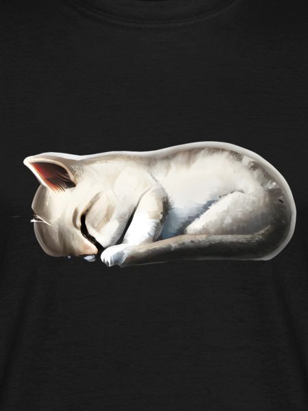 Sleeping cat
