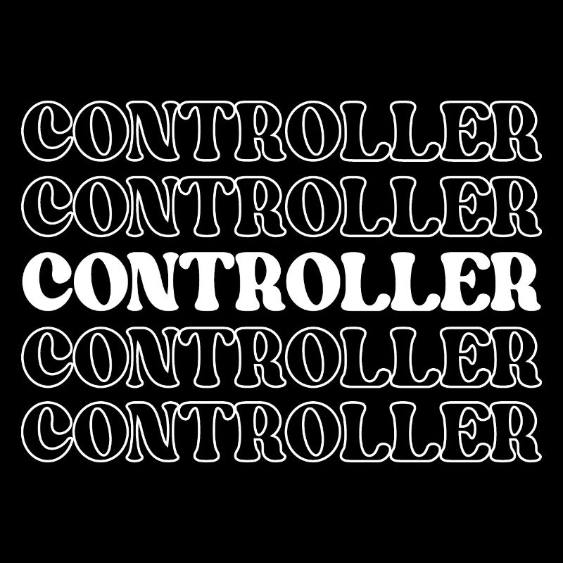 Controller Accountant Auditor Chief Financial