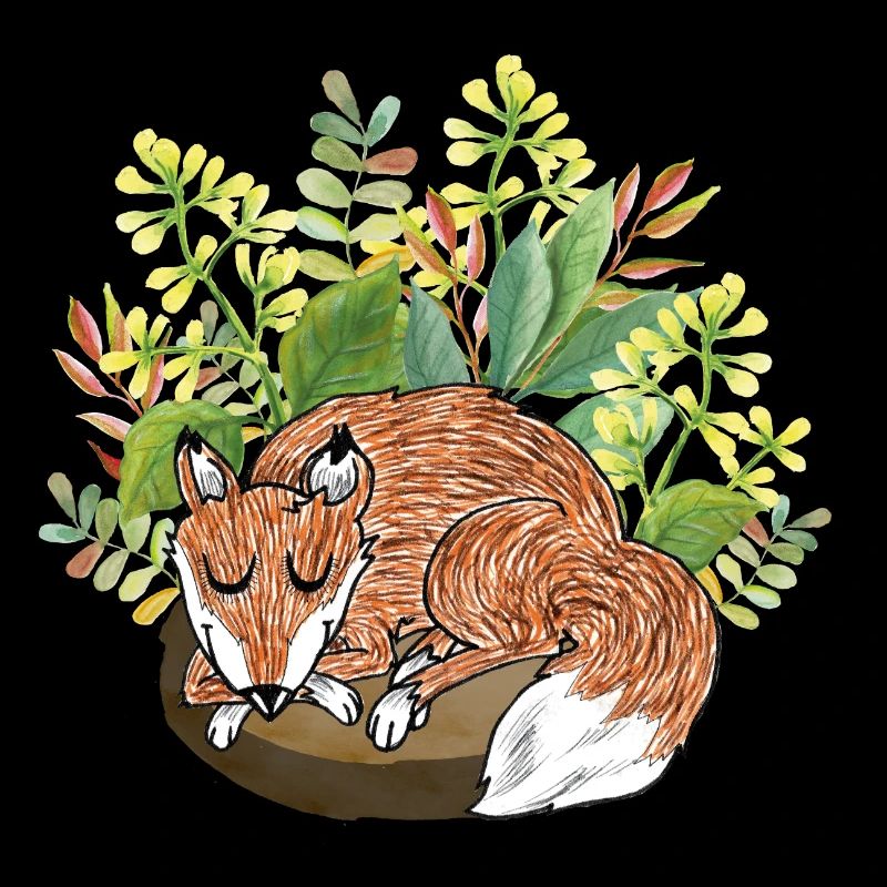 Good night fox