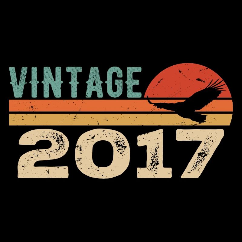 Vintage 2017 Cadeau D'anniversaire 2017 Retro 2017