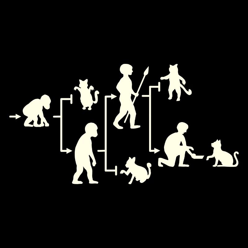 Cat Man Directed Evolution