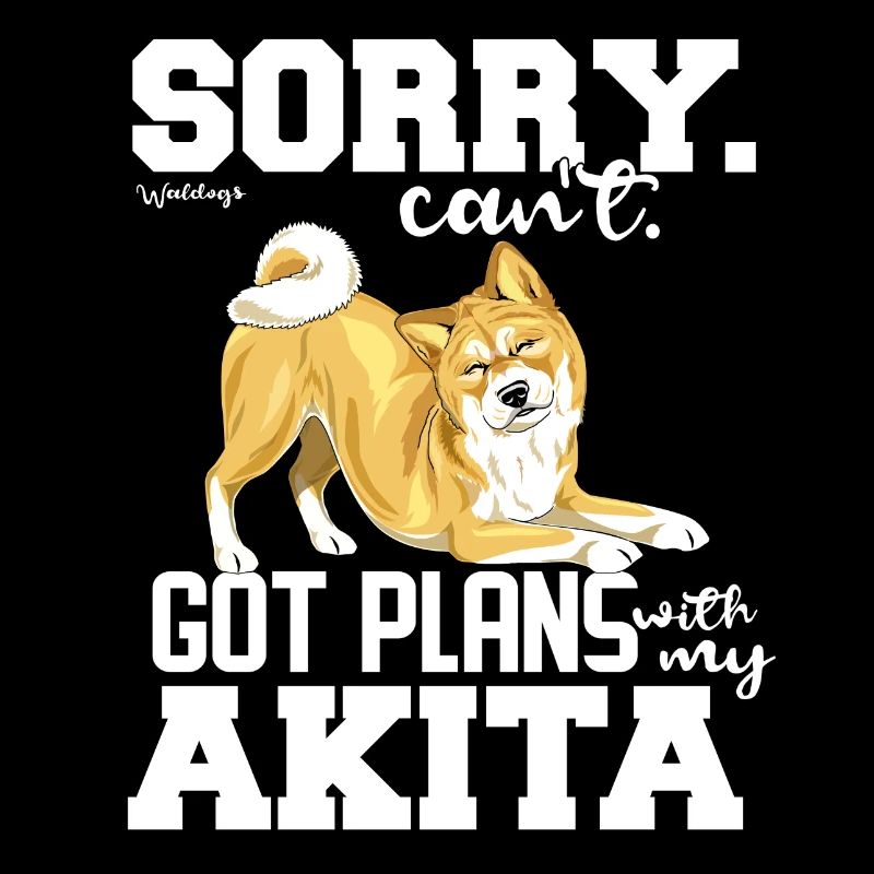 akitaplans3