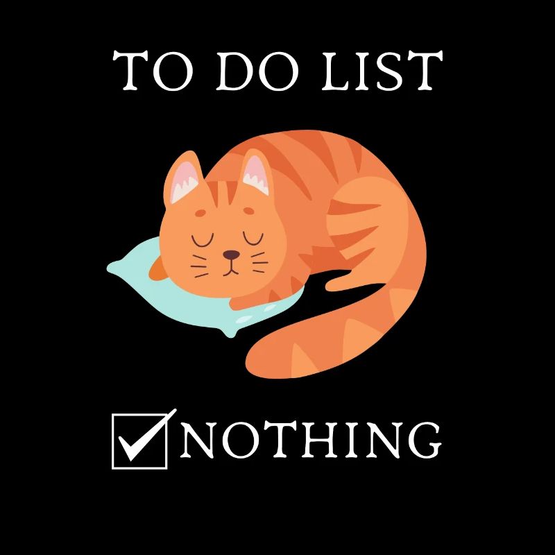 Cat Cat Lazy Funny Saying To Do List Gift