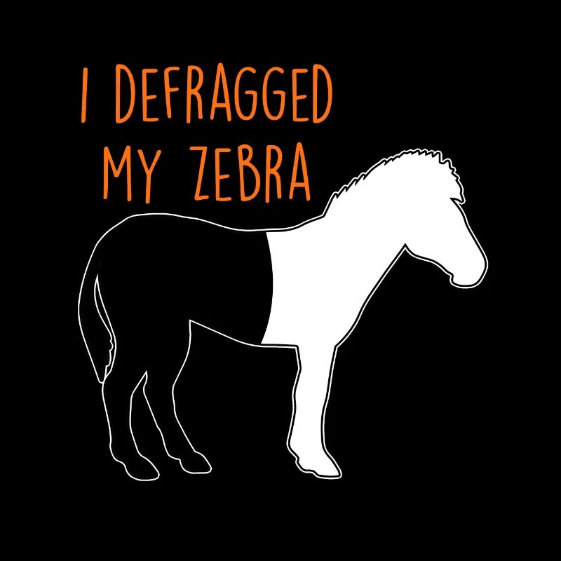 Defragmented Zebra Computer Scientist Joke Coder