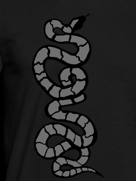 Snake Python grey