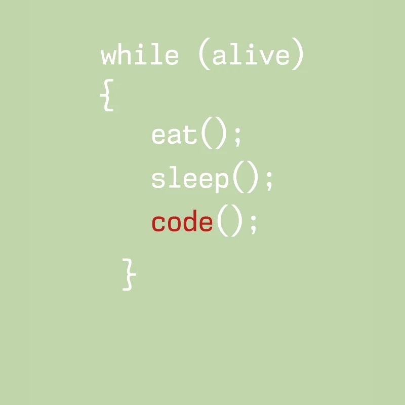 Administrateur Coding Geek Programmeur