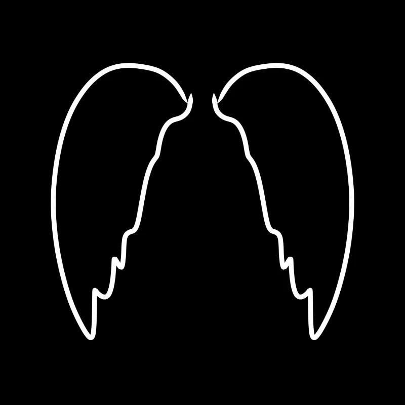 Wings flying icon