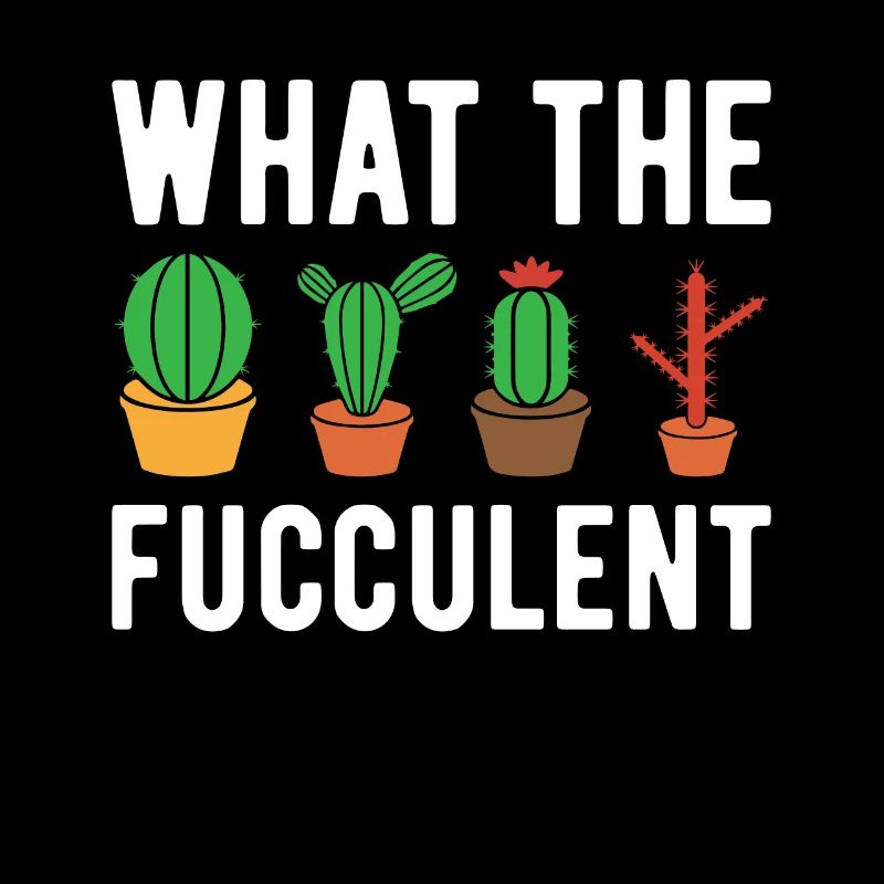 Qu’est-ce que le Fucculent - Drôle de Cactus