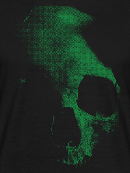 Old skull