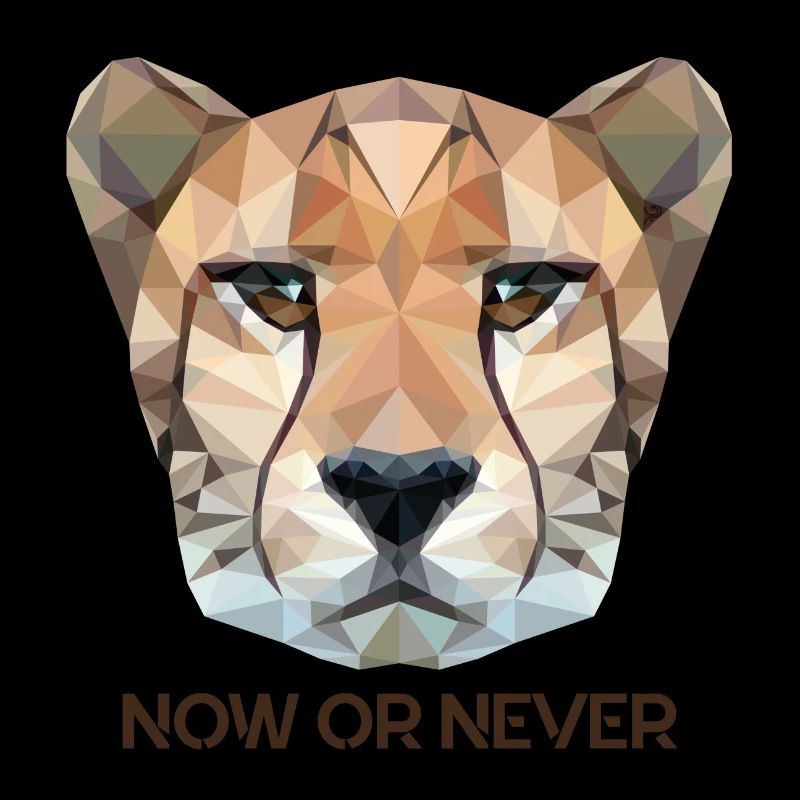 Gepard Now or Never Geschenk