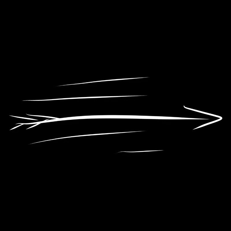 fast arrow