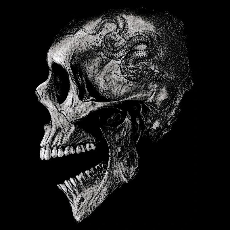 Totenkopf mit Drachen