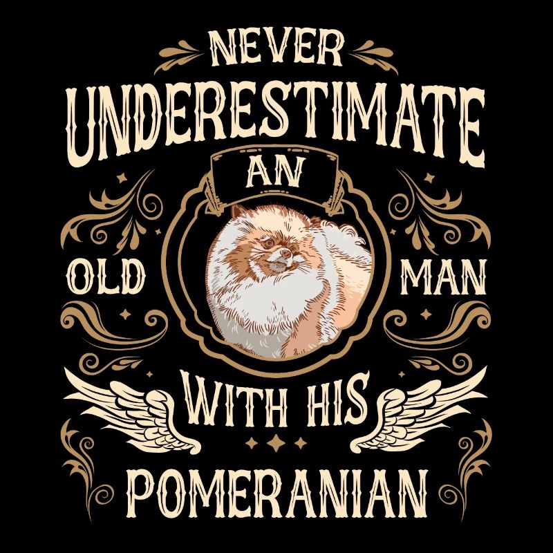 Pomeranian Hund Hundehalter