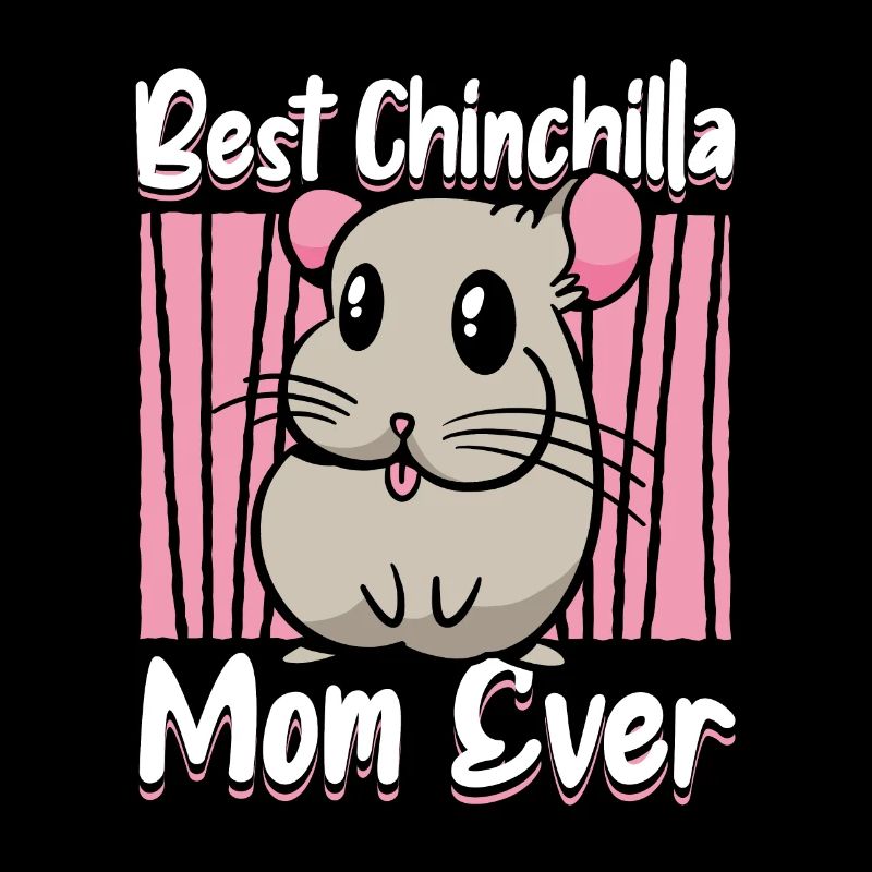Chinchilla Chinchilla's Mouse