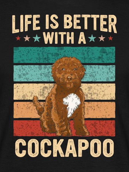 Cockapoo Chien