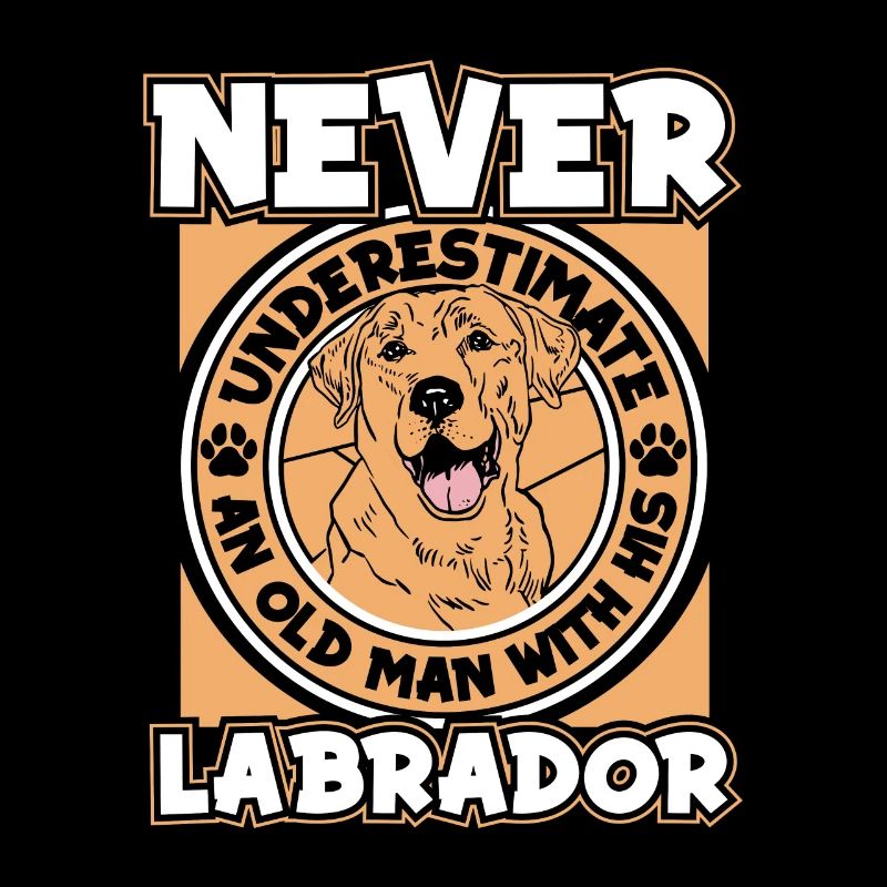 Labrador Dog