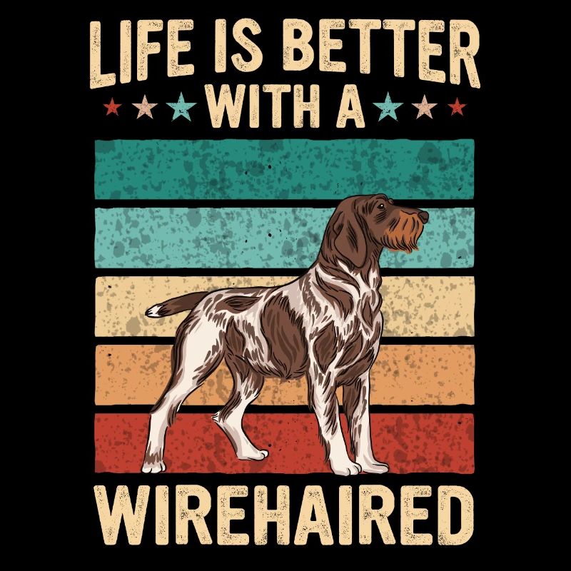 Deutsch Drahthaar Hund