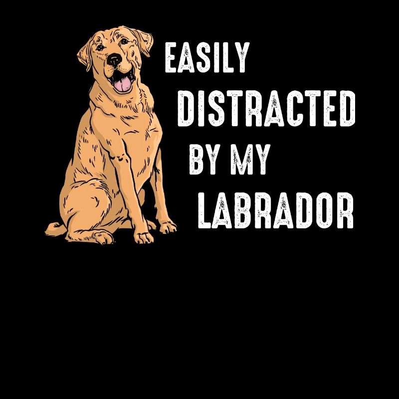 Labrador Dog