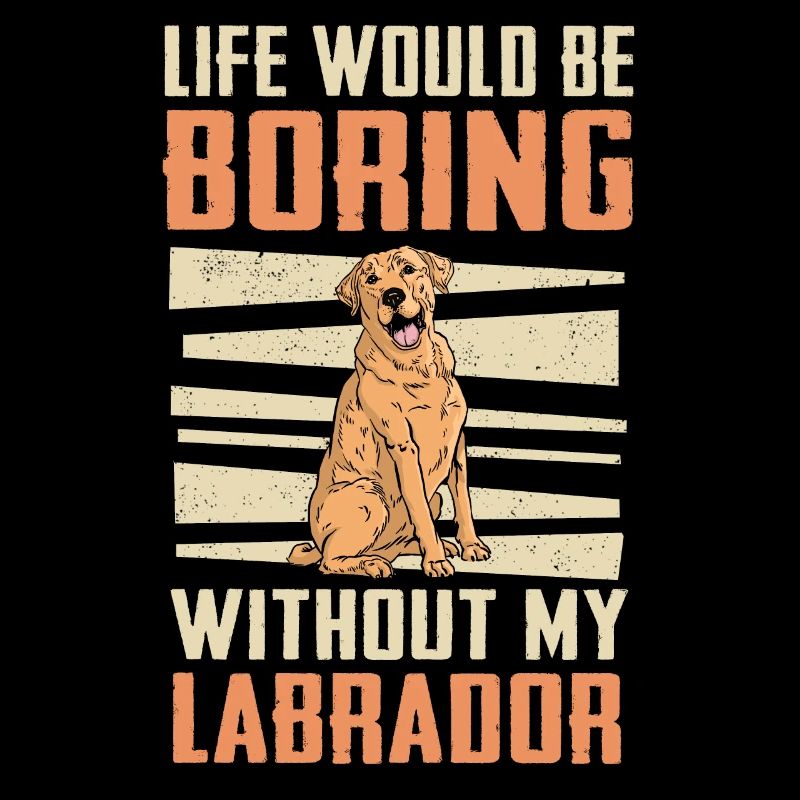 Labrador Dog