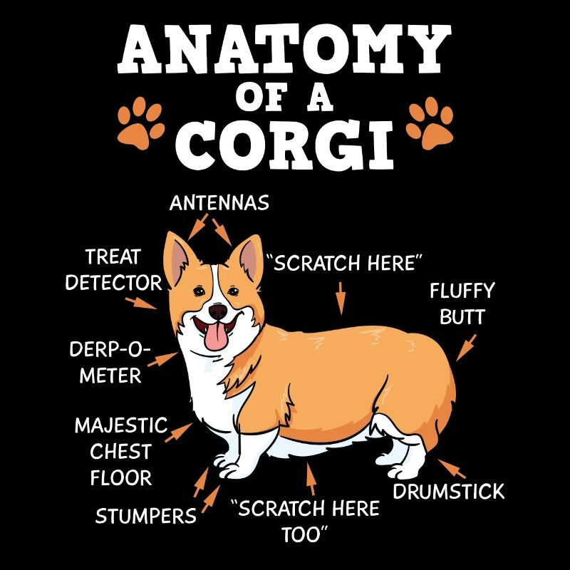 Welsh Corgi Pembroker Hund Anatomie Geschenk