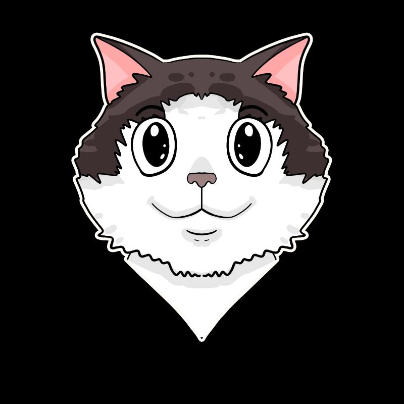 Ragdoll Cat