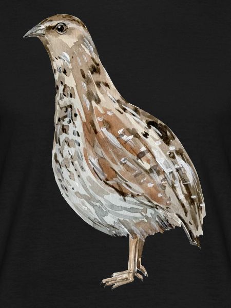 quail