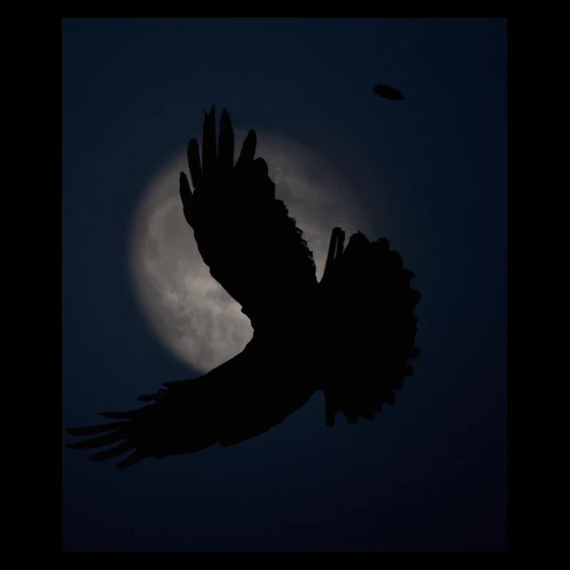 Ombre esthétique gothique d’un oiseau de proie