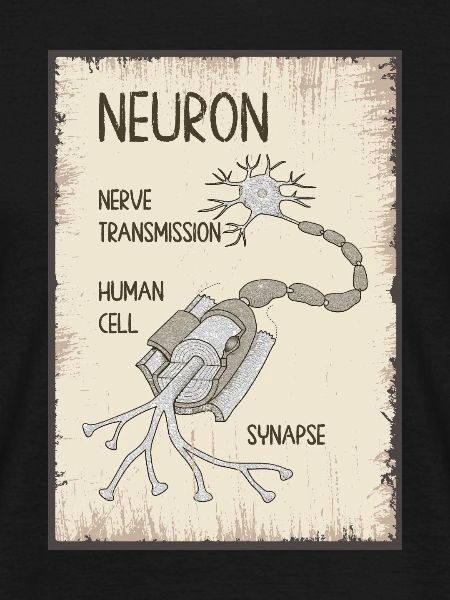 Neuron