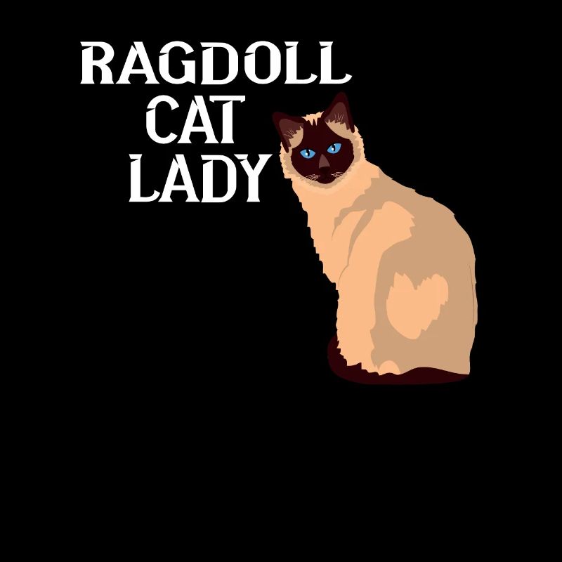 Ragdoll Katzen Lady