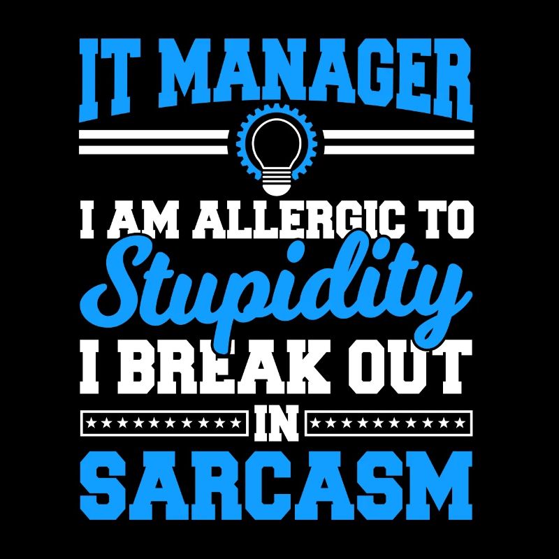 IT Manager Proverbes