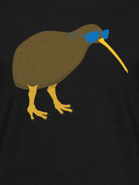 Kiwi Vogel Mit Sonnenbrille