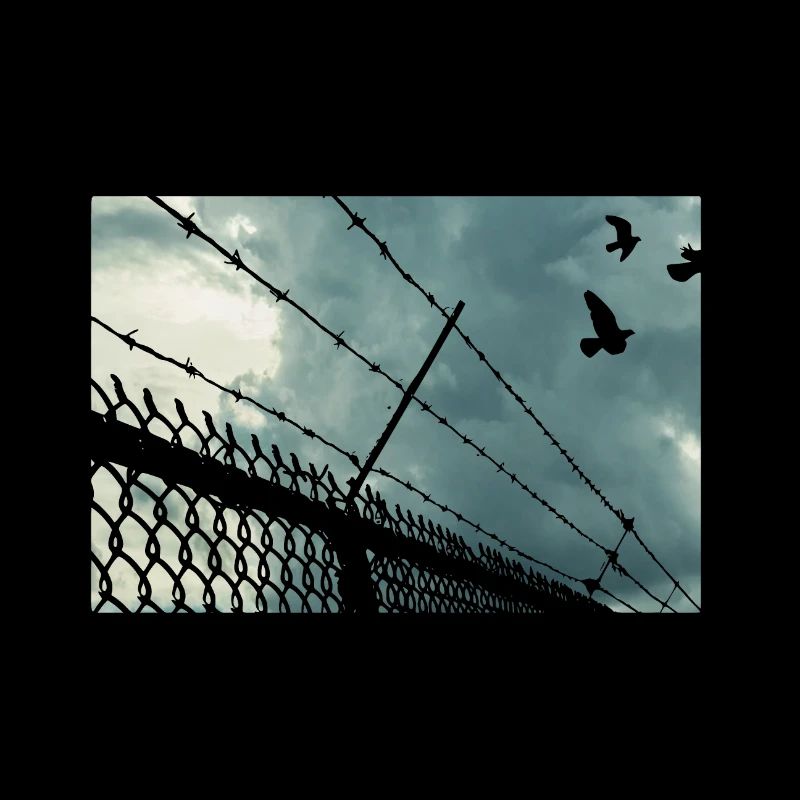 No Border No Nation