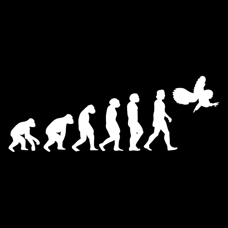 owl bird evolution of humans animals