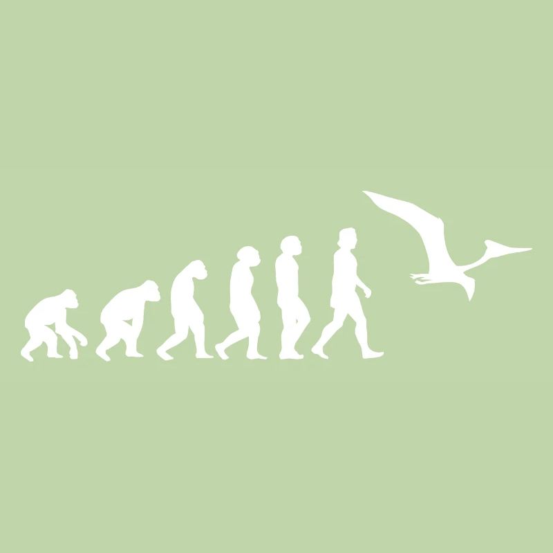 pterosaurs, Pteranodon evolution, dinosaurs, animals